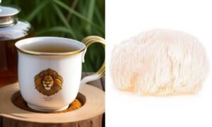 Lion's Mane tea